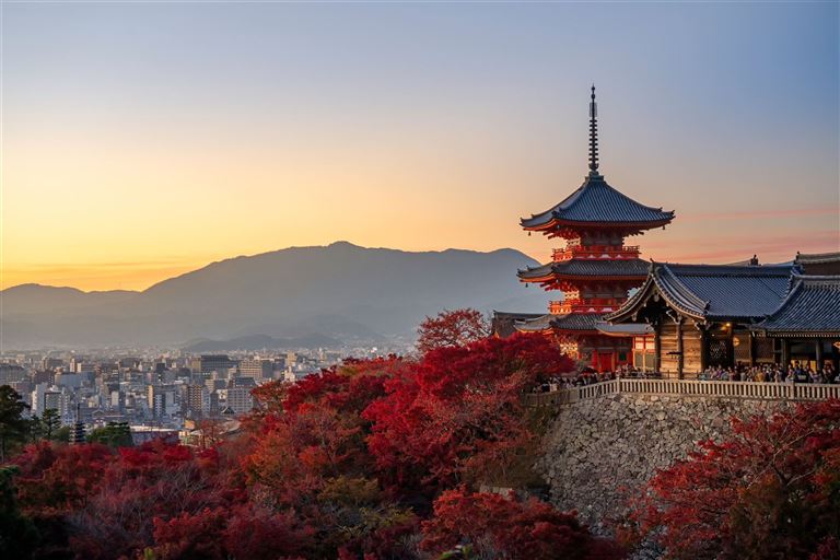 Zwischen Bambuswald und Fuji-Zauber  ©Travel mania/adobestock